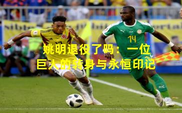 姚明退役了吗：一位巨人的转身与永恒印记