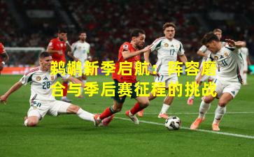 鹈鹕新季启航：阵容磨合与季后赛征程的挑战