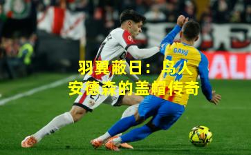 羽翼蔽日：鸟人安德森的盖帽传奇