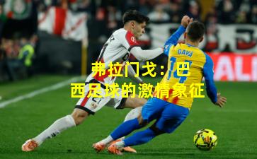  弗拉门戈：巴西足球的激情象征