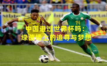 中国进过世界杯吗：绿茵场上的追寻与梦想