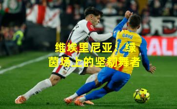 维埃里尼亚：绿茵场上的坚韧舞者